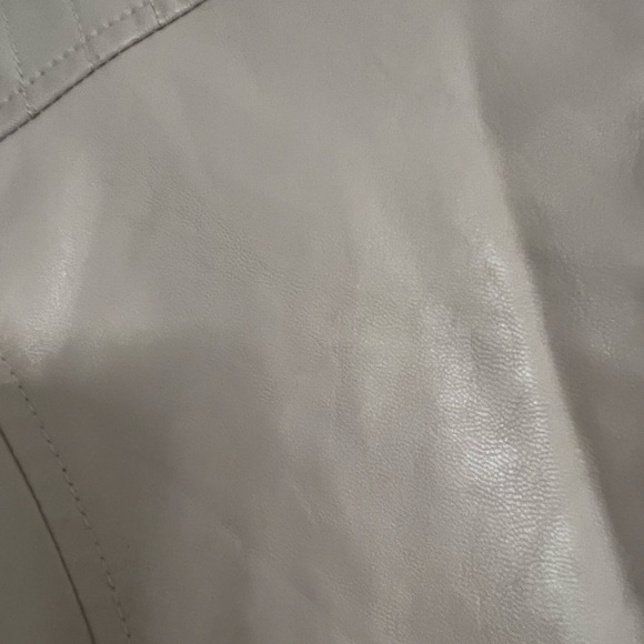 Wild Fable Blush Leather Jacket with Gold Accents - Picture 4 of 5